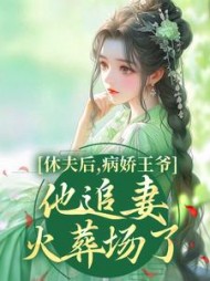 主角是宋宁沈恒之的
