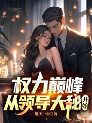 权力巅峰:从领导大秘开始精彩小说阅读