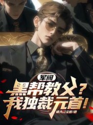 军阀：黑帮教父？我独裁元首小说阅读