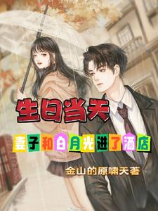 生日当天妻子和白月光进了酒店阅读小说阅读