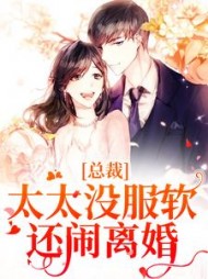 总裁,太太没服软还闹离婚阅读小说阅读