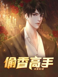 偷香高手铜骨子何叶阅读小说阅读