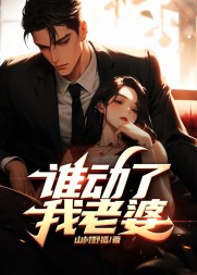 谁动了我老婆大宝儿阅读小说阅读