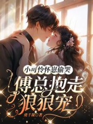 小可怜怀崽偷哭：傅总抱走狠狠宠小说阅读