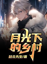 月光下的乡村孔平安阅读小说阅读