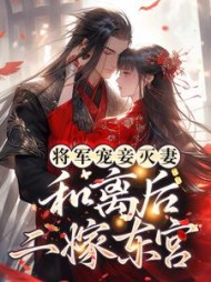 将军宠妾灭妻，和离后二嫁东宫阅读小说阅读