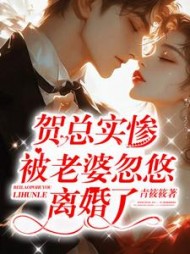 贺总实惨，被老婆忽悠离婚了小说阅读