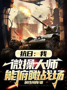 抗日：我，微操大师，能俯瞰战场小说阅读