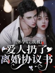 怀孕后,我被爱人扔了离婚协议书完整版小说阅读
