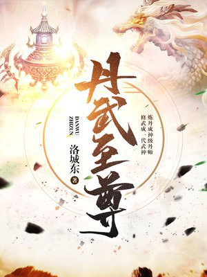 丹武至尊小说阅读