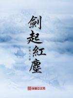 剑起红尘小说阅读