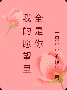 我的愿望里全是你小说阅读