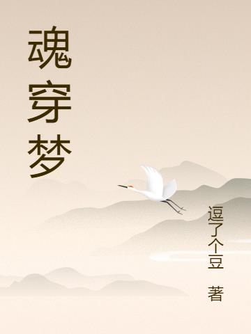 魂穿梦小说阅读