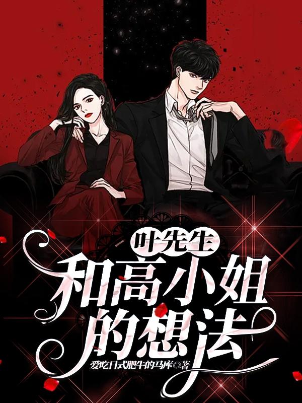 叶先生和高小姐的想法小说阅读