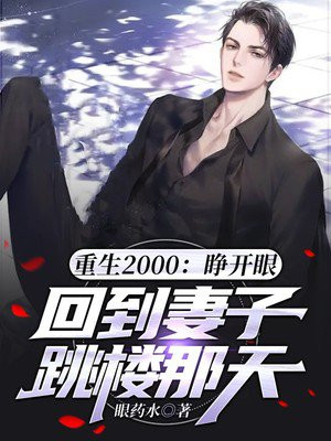 重生2000：睁开眼，回到妻子跳楼那天小说阅读