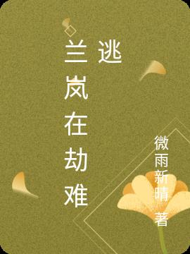 兰岚在劫难逃小说阅读