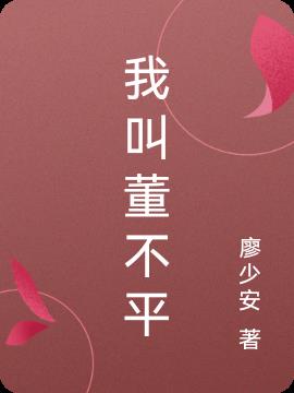 我叫董不平小说阅读