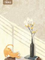 纵使悲凉也是情小说阅读