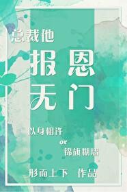 总裁他报恩无门小说阅读