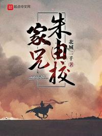 家兄朱由校小说阅读