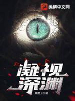 凝视深渊小说阅读