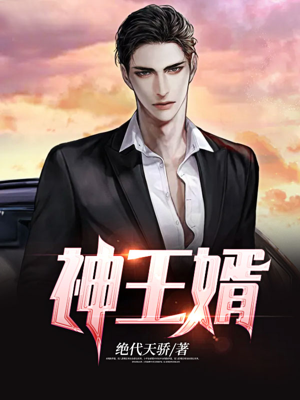 神王婿正版