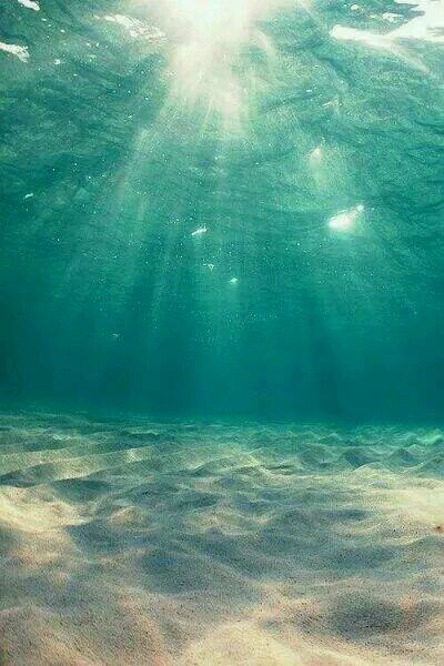 陆总，夫人失忆后被三个哥哥宠翻天了唐清陆展风