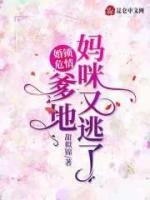 婚锁危情：爹地，妈咪又逃了！小说阅读