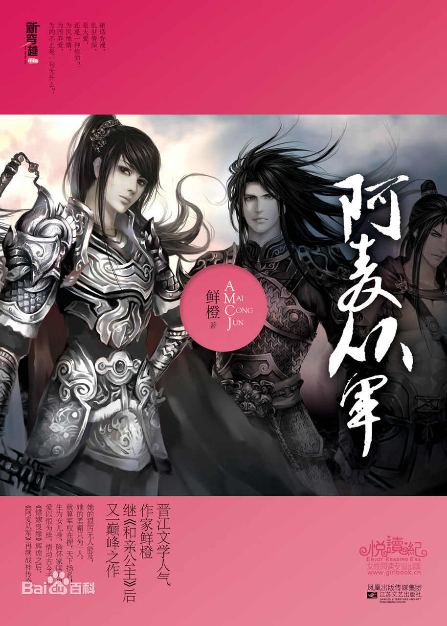 阿麦从军小说阅读