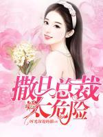 撒旦总裁太危险小说阅读