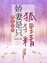 贺先生的娇妻是只狐狸精小说阅读