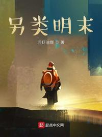另类明末小说阅读