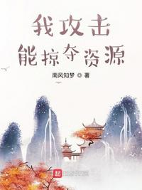 我攻击能掠夺资源小说阅读