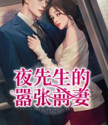 夜先生今天又在求复婚