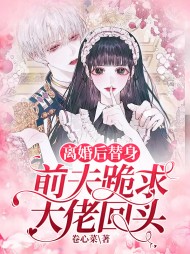 离婚后替身前夫跪求大佬回头