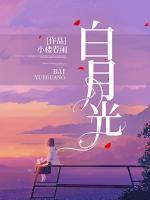 白月光
