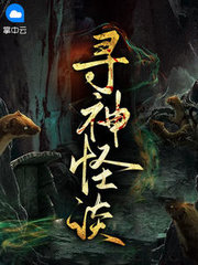 寻神怪谈刑灿苏婉儿