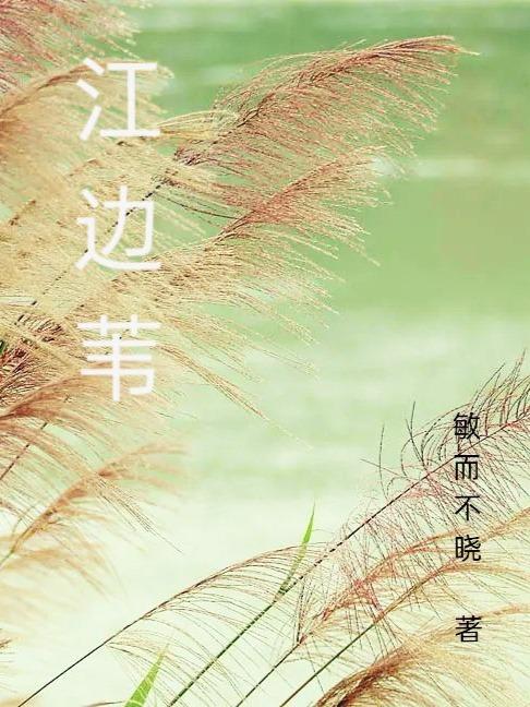 江边苇小说阅读