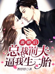 叶安安傅谨言小说阅读