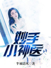 妙手小神医by半袖清风