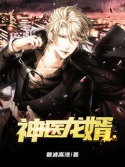 神医龙婿李泽林熏