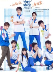 电视剧你好旧时光原著