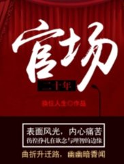 官场二十年段文胜萧何吏