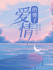 爱情的傻子陈雅王皓