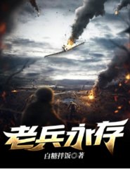 老兵永存白糖拌饭著小说阅读