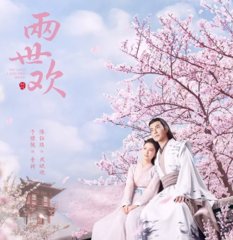 电视剧两世欢同名