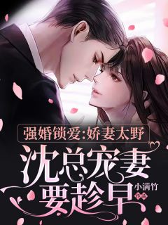 麒麟天师小说阅读