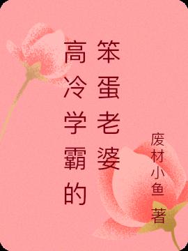 高冷学霸的笨蛋老婆小说阅读