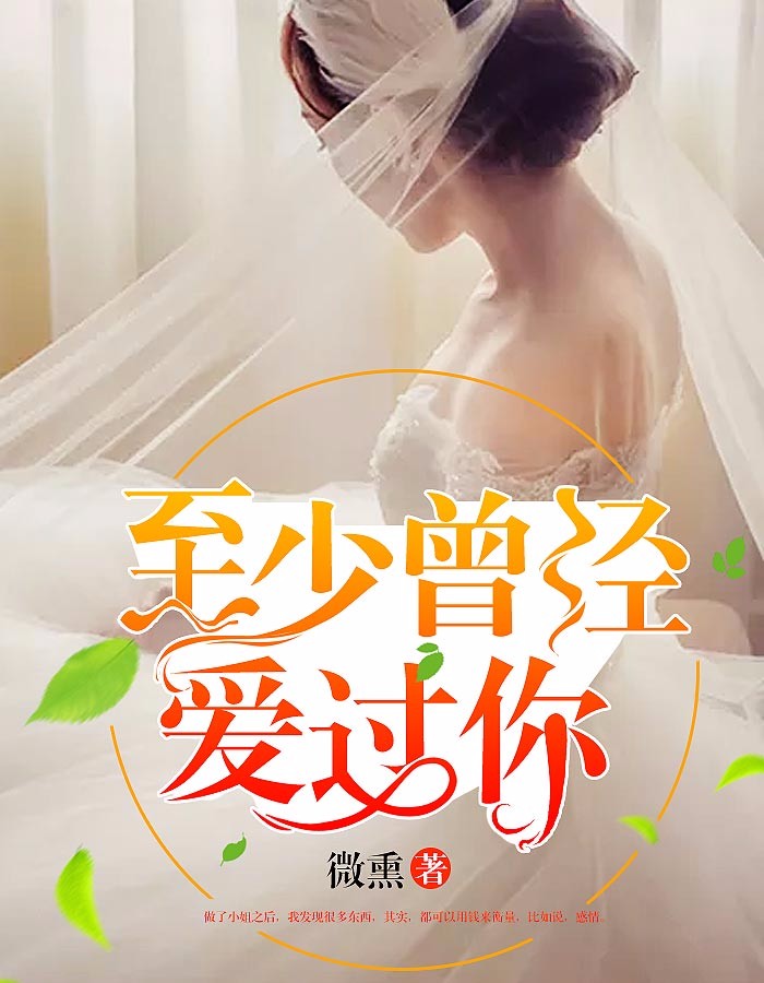 至少曾经爱过你小说阅读