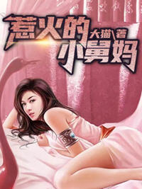 惹火的小舅妈小说阅读
